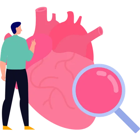 Doctor explains about heart disease  Illustration