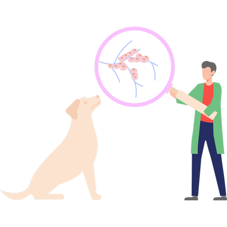 Doctor is examining a dog  Illustration