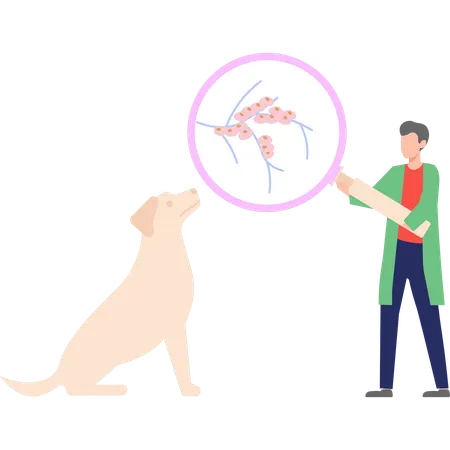 Doctor is examining a dog  イラスト