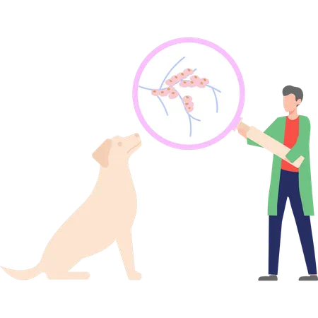 Doctor is examining a dog  Illustration