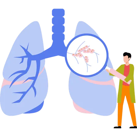 Doctor is examining the lungs  Illustration