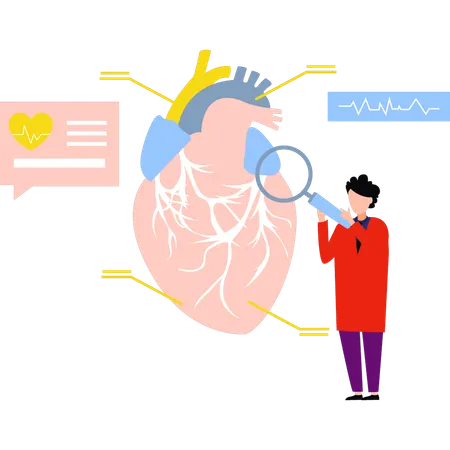 Doctor is researching the heart  Illustration
