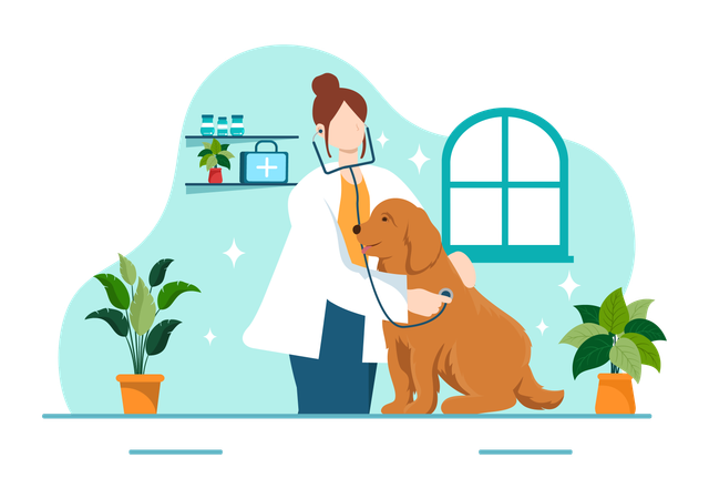 Doctor is treating dog  Illustration