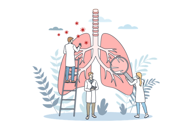 Doctor is viewing lungs report  Illustration