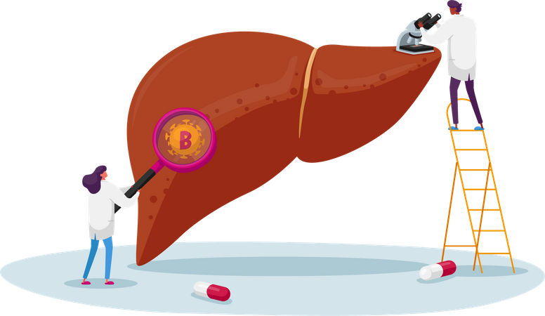 Doctor Look in Electronic Microscope and Magnifier on Huge Diseased Liver  Illustration