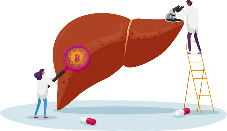 Doctor Look in Electronic Microscope and Magnifier on Huge Diseased Liver  Illustration