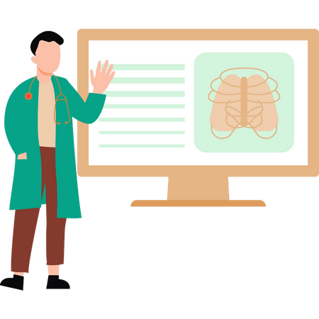 Doctor looking at x-ray on monitor  Illustration