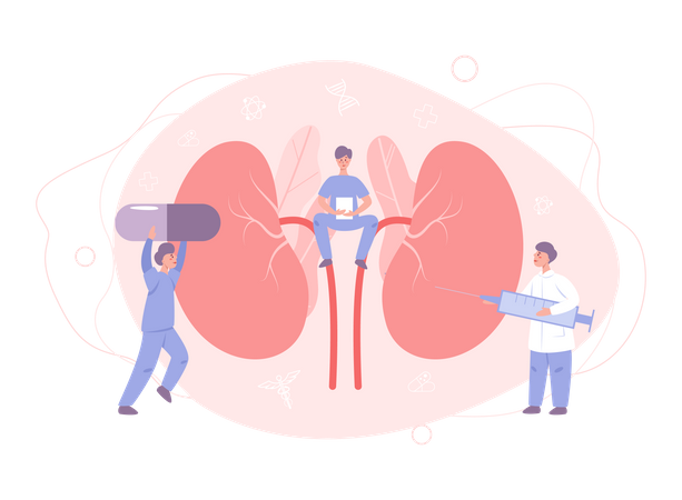 Doctor make kidney examination Illustration