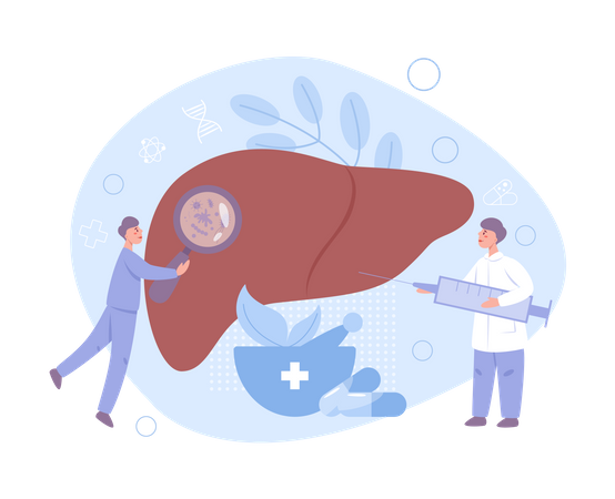 Doctor make liver examination Illustration