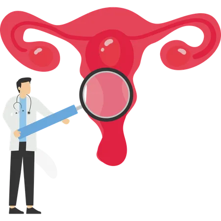Doctor make uterus examination  Illustration