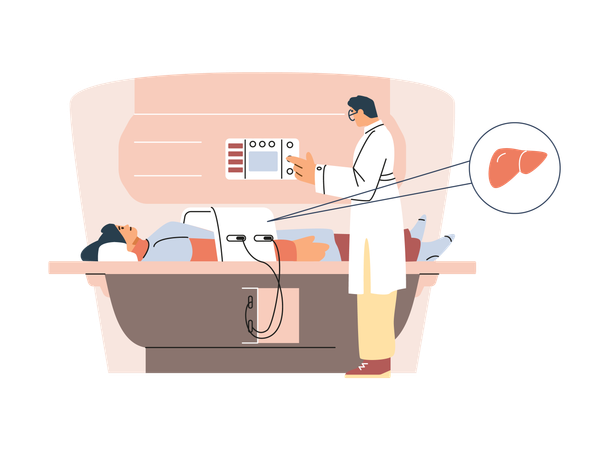 Doctor performs MRI of liver  Illustration
