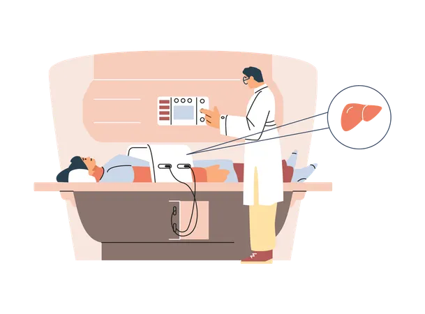 Doctor performs MRI of liver  Illustration