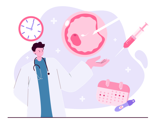 Doctor presenting in vitro fertilization timeline  Illustration