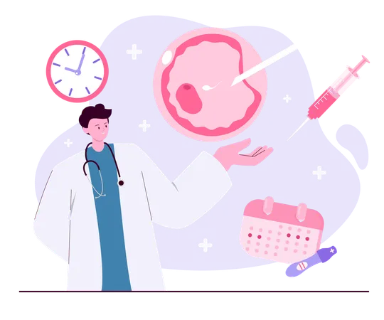 Doctor presenting in vitro fertilization timeline  Illustration