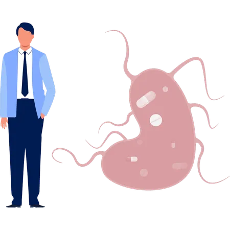 Doctor  showing bacteria  Illustration