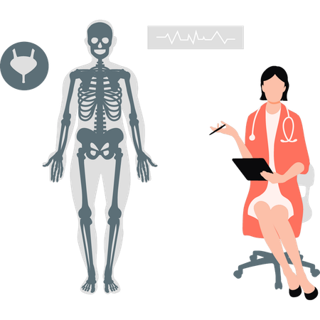 人体の骨格を示す医師  イラスト