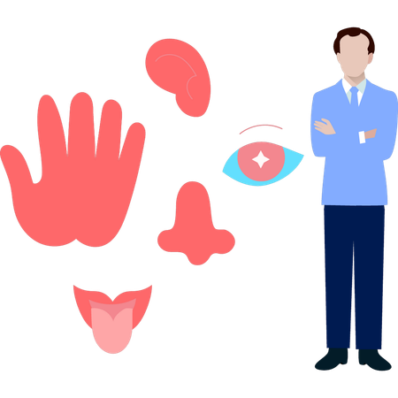 Doctor showing human senses  Illustration