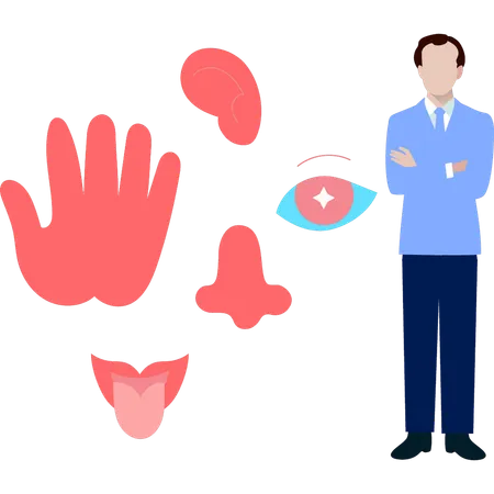 Doctor showing human senses  Illustration