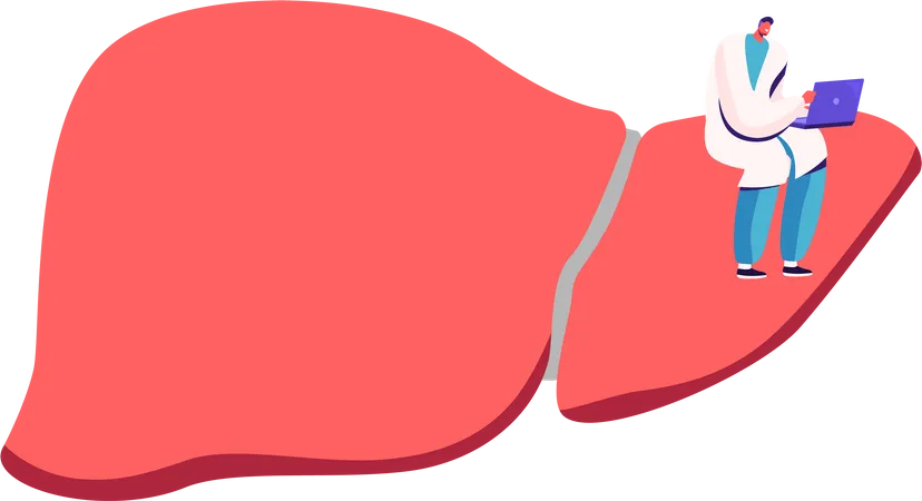 Cirrhosis World Hepatitis Day Pancreatitis Concept Tiny Doctor Sitting On Huge Healthy Liver Working On Laptop Internal Organs Disease Treatment And Health Care Cartoon Flat Vector Illustration Illustration