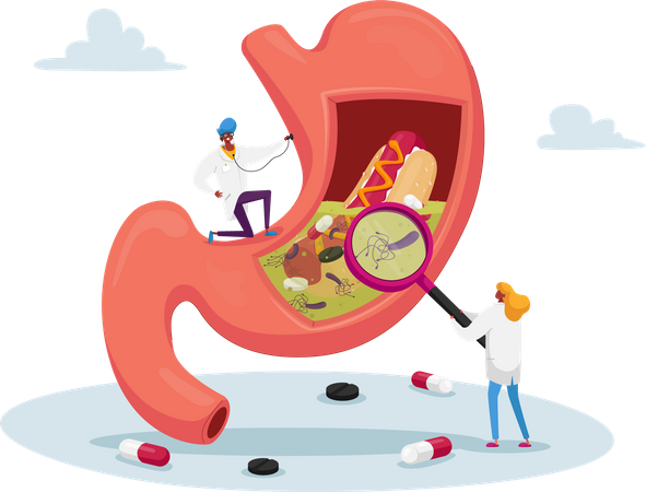 Doctor Study Stomachache Causes of Gastritis and Helicobacter Disease Illustration