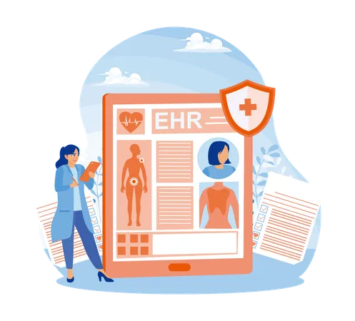 Doctor Views At EHR Report  Illustration