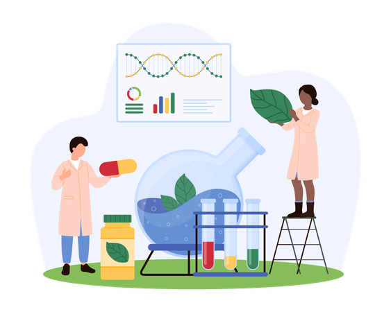 Doctor working on Herbal Medicine Development  Illustration