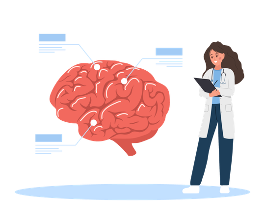 Una doctora examina el cerebro humano  Ilustración