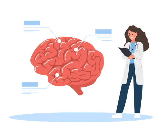 Una doctora examina el cerebro humano  Ilustración