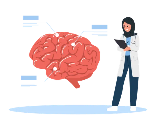 Una doctora examina el cerebro humano  Ilustración