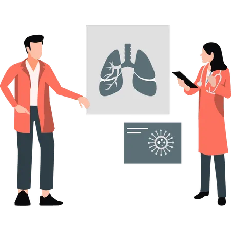 Doctors analysis human kidney  Illustration