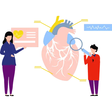 Doctors are doing research on heart  Illustration