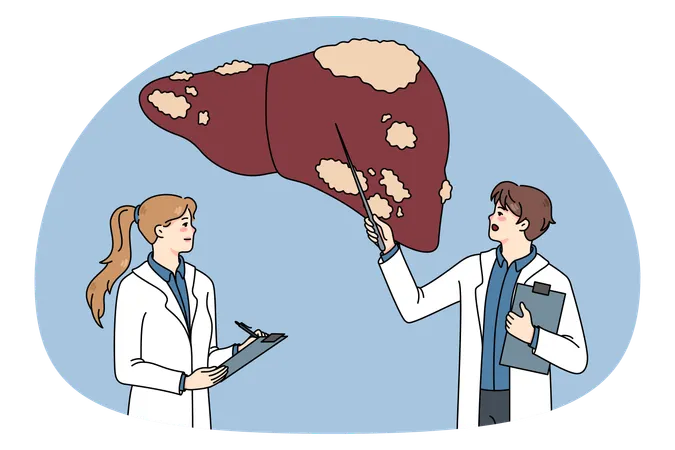 Doctors examine sick patient liver  Illustration