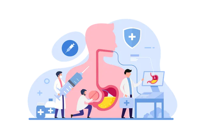 Doctors examine stomach for diseases  Illustration