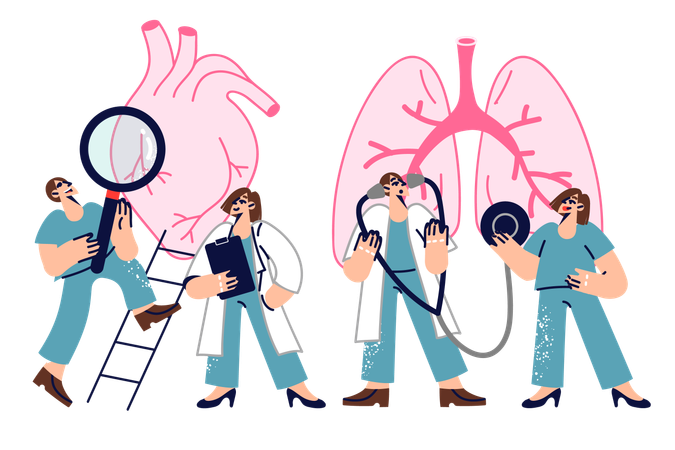 Doctors examining patient heart and lungs  Illustration