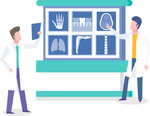 Doctors Examining Xrays Of Patients Vector Doc In White Coat Looking At Brain Scan Tooth And Spine Liver And Hand With Fingers Bones Parts Of Body Illustration