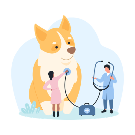 Doctors with stethoscope check dogs health  イラスト