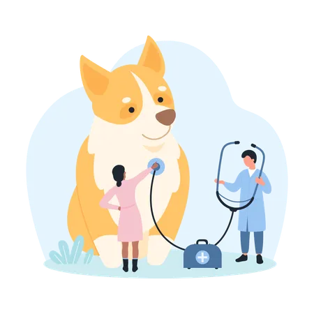 Veterinarian Appointment At Vet Clinic Vector Illustration Cartoon Tiny Doctors With Stethoscope Check Dogs Heart Health Characters Care For Funny Puppy With Medical Equipment Checkup In Hospital Illustration