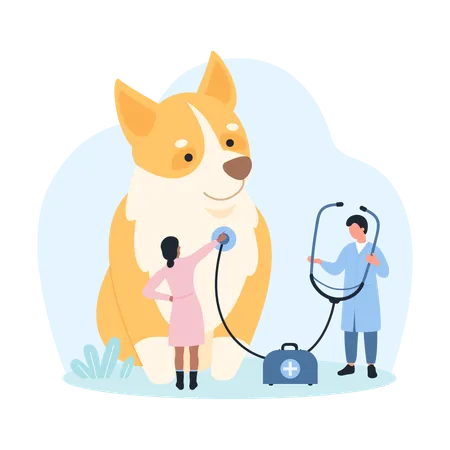 Doctors with stethoscope check dogs health  Illustration