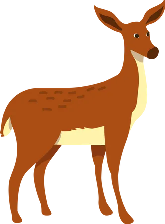 Doe Semi Flat Color Vector Character Posing Figure Full Body Animal On White Mammal Without Antlers Female Deer Simple Cartoon Style Illustration For Web Graphic Design And Animation Illustration
