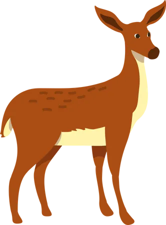 Doe  Illustration