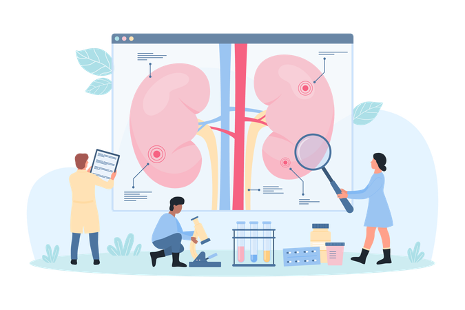 Doença renal  Ilustração