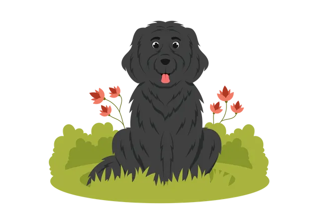 Newfoundland Dog Animals With Black Brown Or Landseer Color In Flat Style Cute Cartoon Template Hand Drawn Illustration Illustration