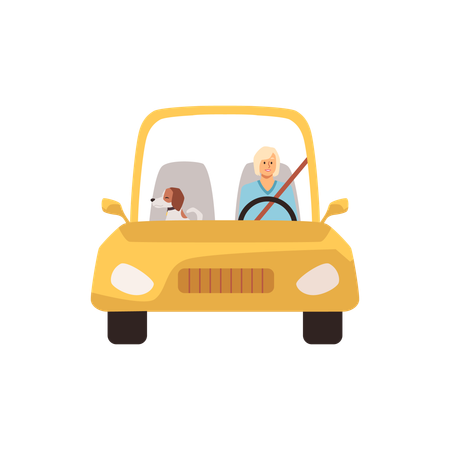 Dog and woman traveling together in car  Illustration