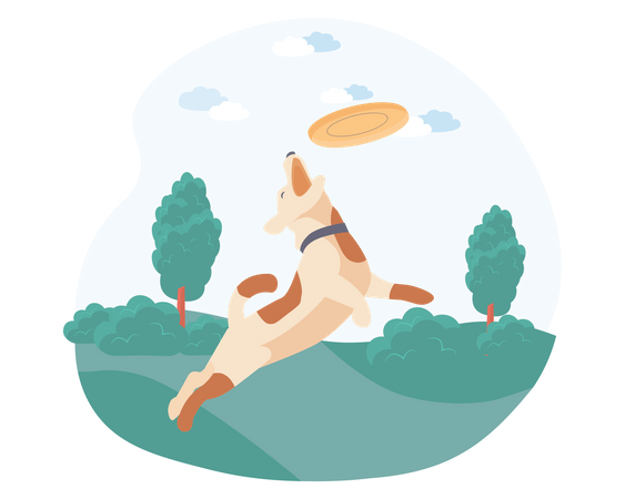 Dog catching disc in garden  Illustration