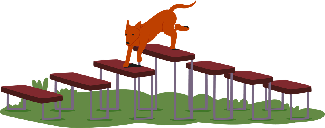 Dog climbing over series of raised platforms  Illustration