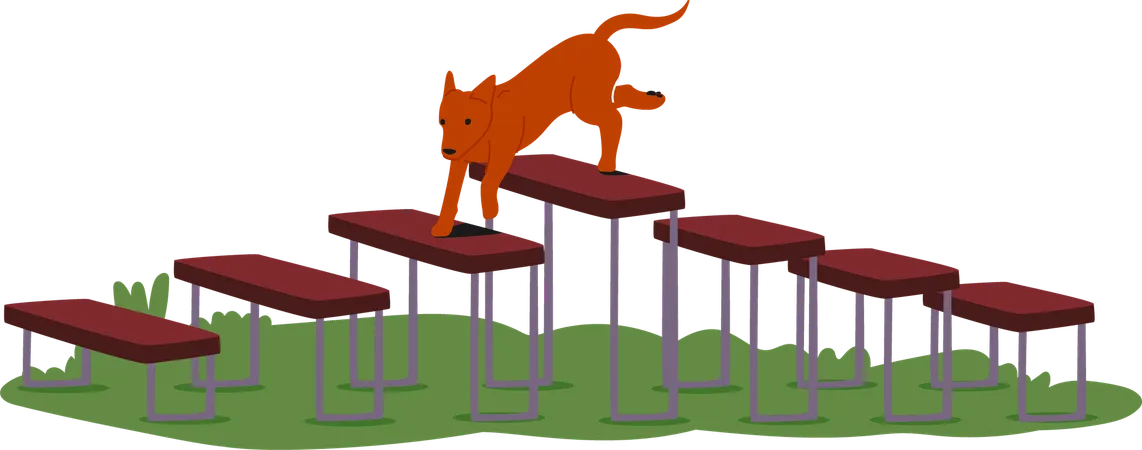 Dog climbing over series of raised platforms  Illustration