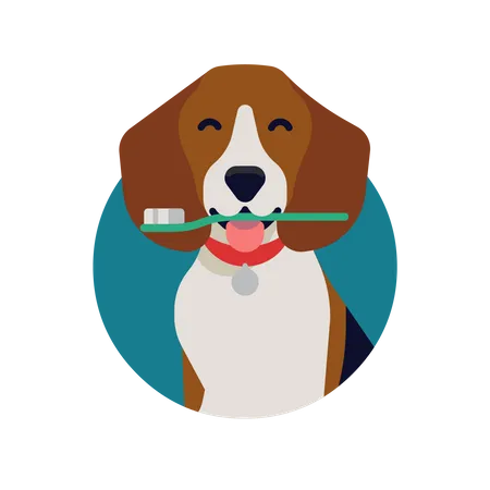 Dog dental health with happy beagle dog holding a toothbrush  Illustration