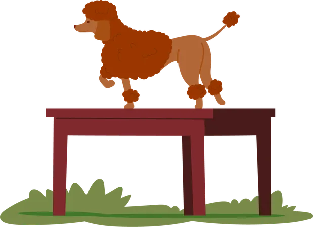 テーブルトレーニングをする犬  イラスト