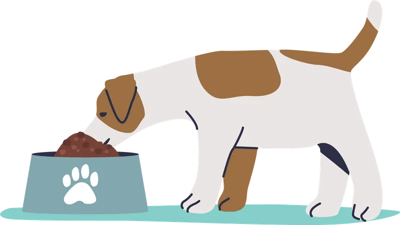 Dog eating dry food Illustration