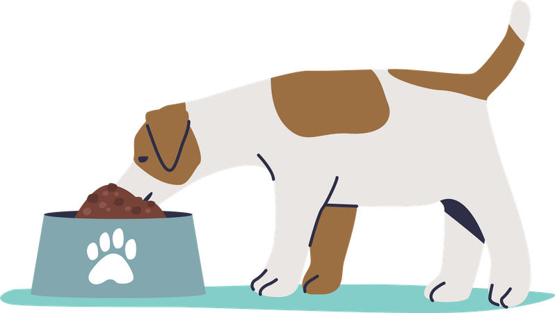 Dog eating dry food  Illustration